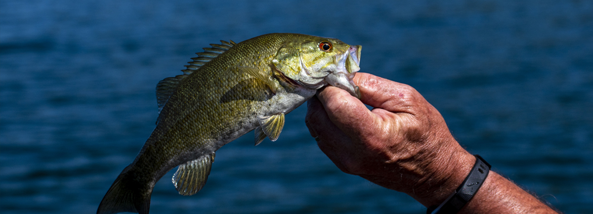 Stationary Float Fishing - Ontario Fishing & Hunting Outfitter